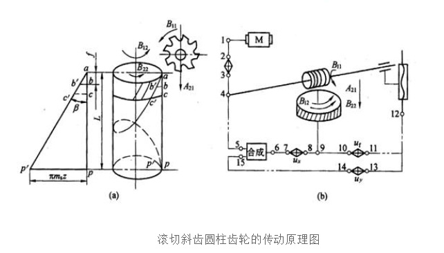 Gear processing丨The transmission principle of processing helical cylindrical gears