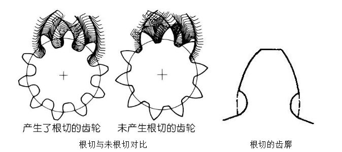 What is the phenomenon of gear undercutting, and what is the reason for this phenomenon?