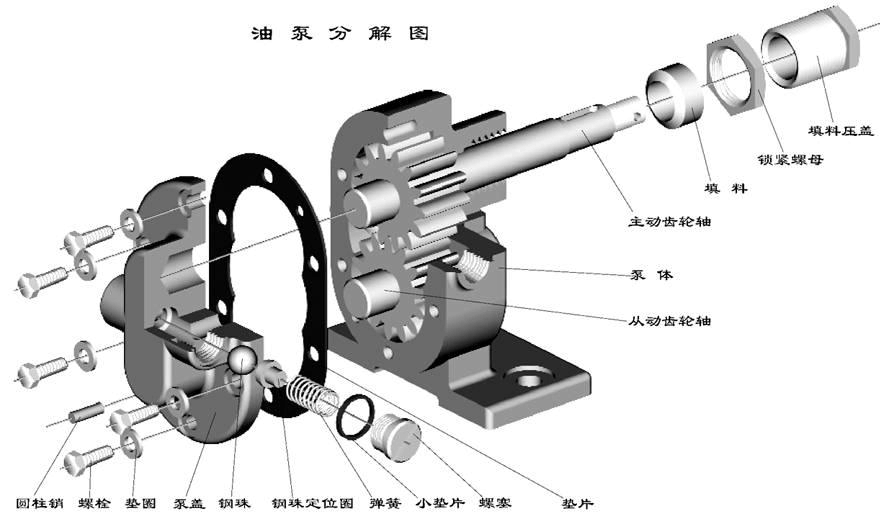 Gear pump gear